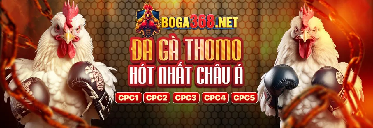 Đá gà trực tuyến kịch tính tại good88 fun