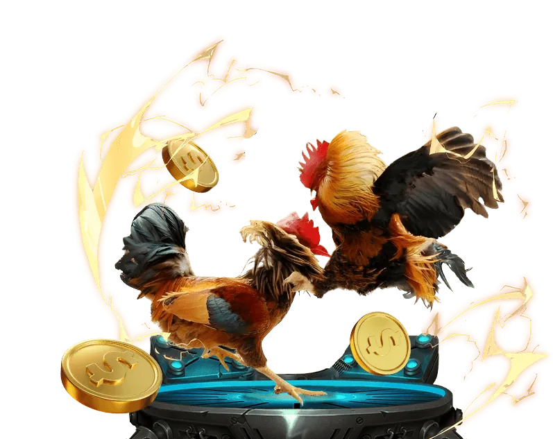 Hoàn trả cược đá gà good88 fun